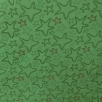 groene sterren tricot