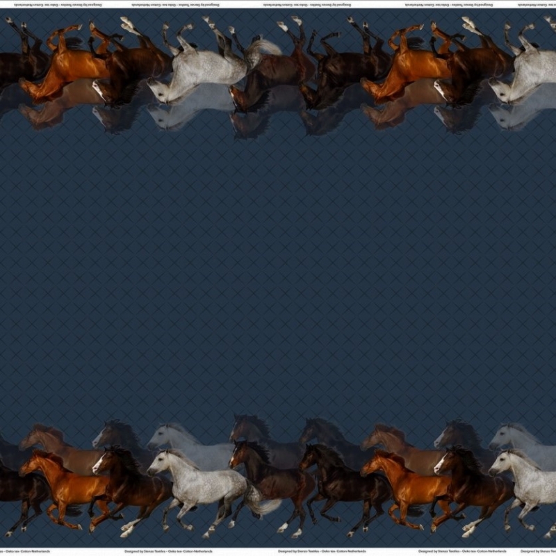 Blauwe Stenzo randtricot met paarden
