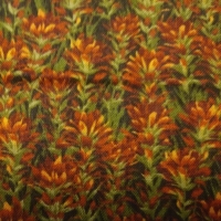 Faq (50 x 55 cm), groen roodbruine takjes naturescapes van Northcott
