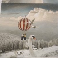 Bipp paneel Sophia met luchtbalon, zwaan, uil in winter landschap