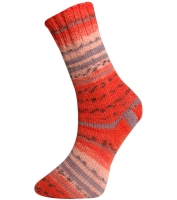 KKK Sensitive Socks meerkleurig